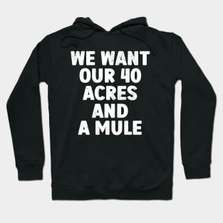 We Want Our 40 Acres And A Mule Hoodie